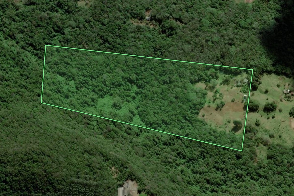 Imagem de satélite do imóvel rural em Três Coroas (RS), com o contorno declarado no CAR desenhado por cima.