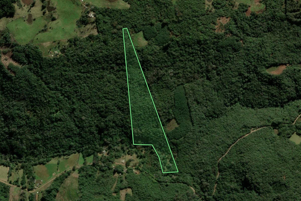 Imagem de satélite do imóvel rural em Três Coroas (RS), com o contorno declarado no CAR desenhado por cima.