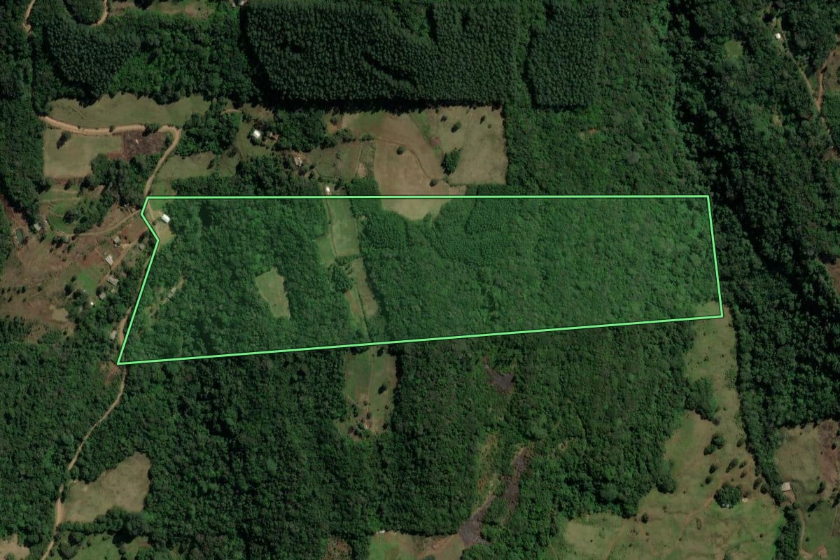 Imagem de satélite do imóvel rural em Três Coroas (RS), com o contorno declarado no CAR desenhado por cima.