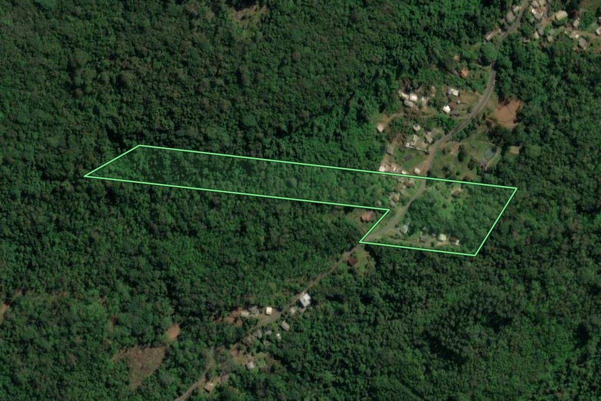 Imagem de satélite do imóvel rural em Três Coroas (RS), com o contorno declarado no CAR desenhado por cima.