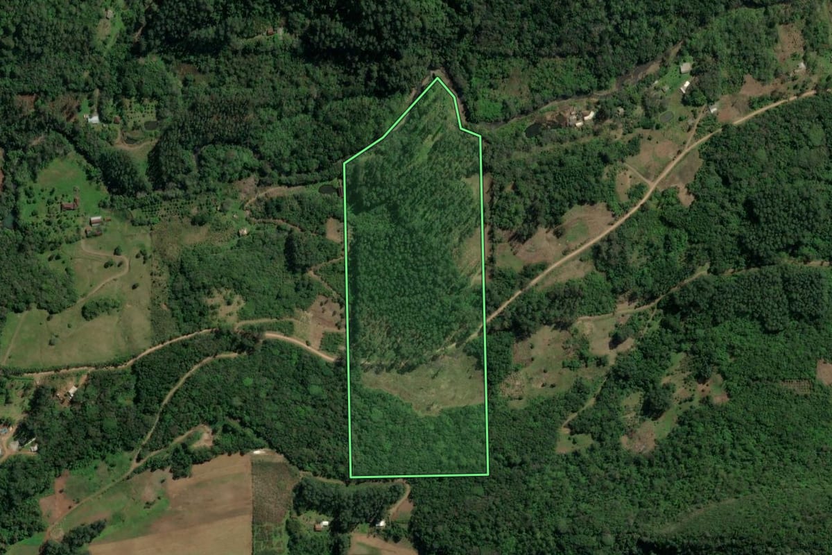 Imagem de satélite do imóvel rural em Três Coroas (RS), com o contorno declarado no CAR desenhado por cima.