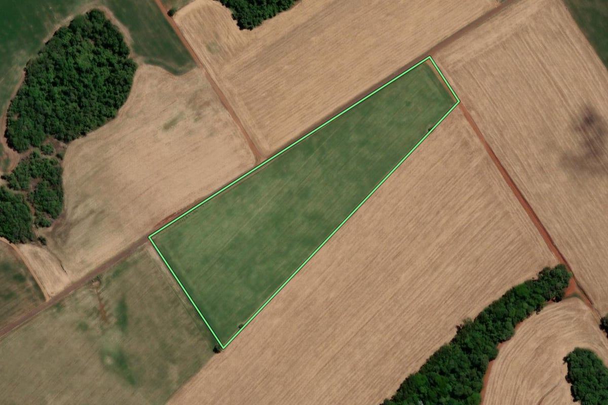 Imagem de satélite do imóvel rural em Três de Maio (RS), com o contorno declarado no CAR desenhado por cima.
