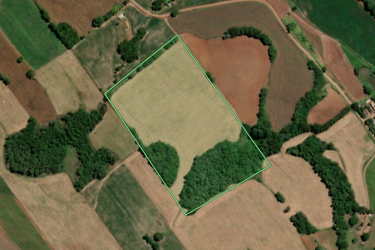 Imagem de satélite do imóvel rural em Três de Maio (RS), com o contorno declarado no CAR desenhado por cima.