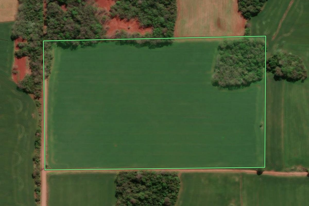 Imagem de satélite do imóvel rural em Três de Maio (RS), com o contorno declarado no CAR desenhado por cima.