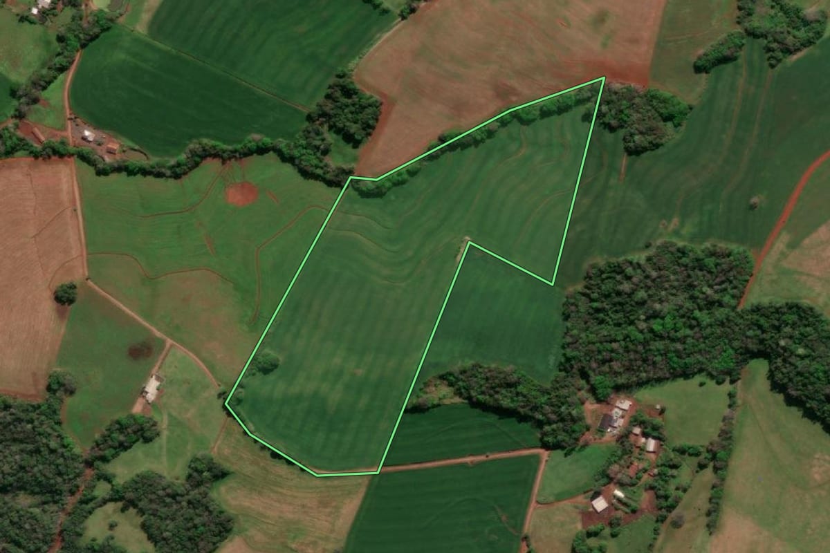 Imagem de satélite do imóvel rural em Três de Maio (RS), com o contorno declarado no CAR desenhado por cima.