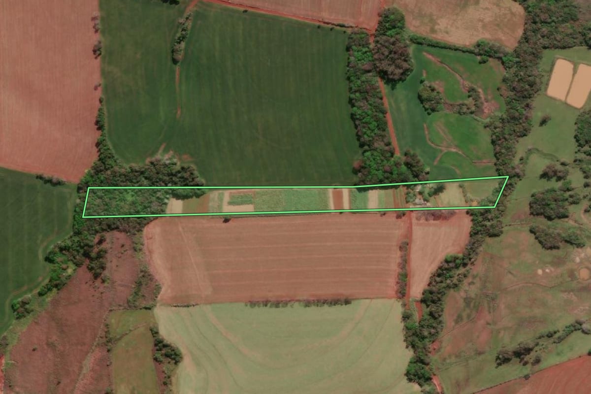 Imagem de satélite do imóvel rural em Três de Maio (RS), com o contorno declarado no CAR desenhado por cima.