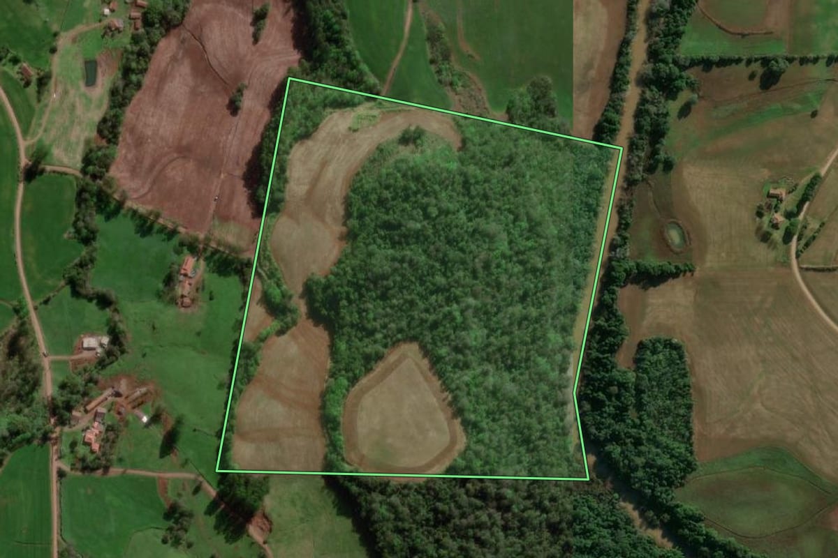 Imagem de satélite do imóvel rural em Três de Maio (RS), com o contorno declarado no CAR desenhado por cima.