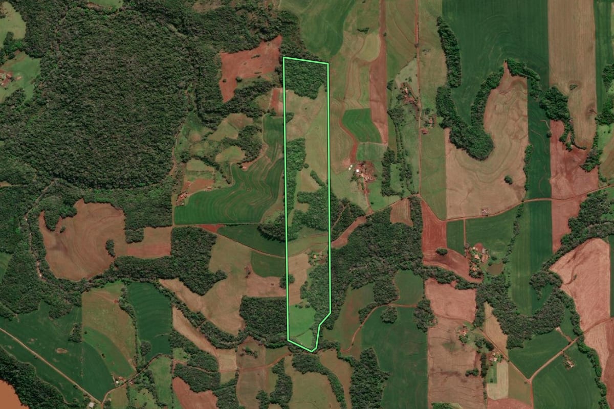 Imagem de satélite do imóvel rural em Três de Maio (RS), com o contorno declarado no CAR desenhado por cima.