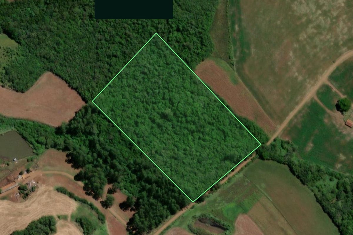 Imagem de satélite do imóvel rural em Três de Maio (RS), com o contorno declarado no CAR desenhado por cima.