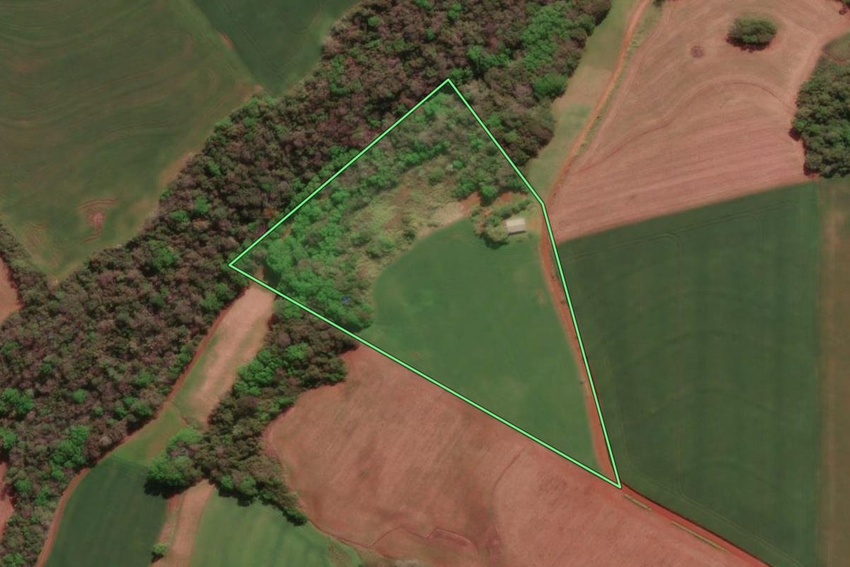Imagem de satélite do imóvel rural em Três de Maio (RS), com o contorno declarado no CAR desenhado por cima.
