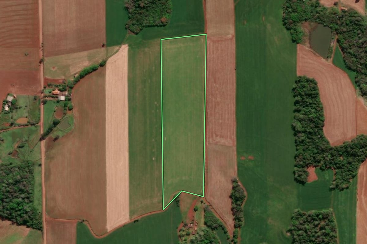 Imagem de satélite do imóvel rural em Três de Maio (RS), com o contorno declarado no CAR desenhado por cima.