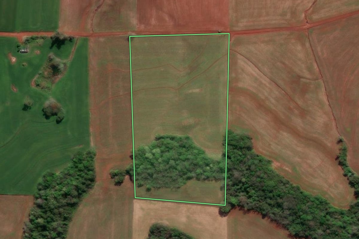 Imagem de satélite do imóvel rural em Três de Maio (RS), com o contorno declarado no CAR desenhado por cima.