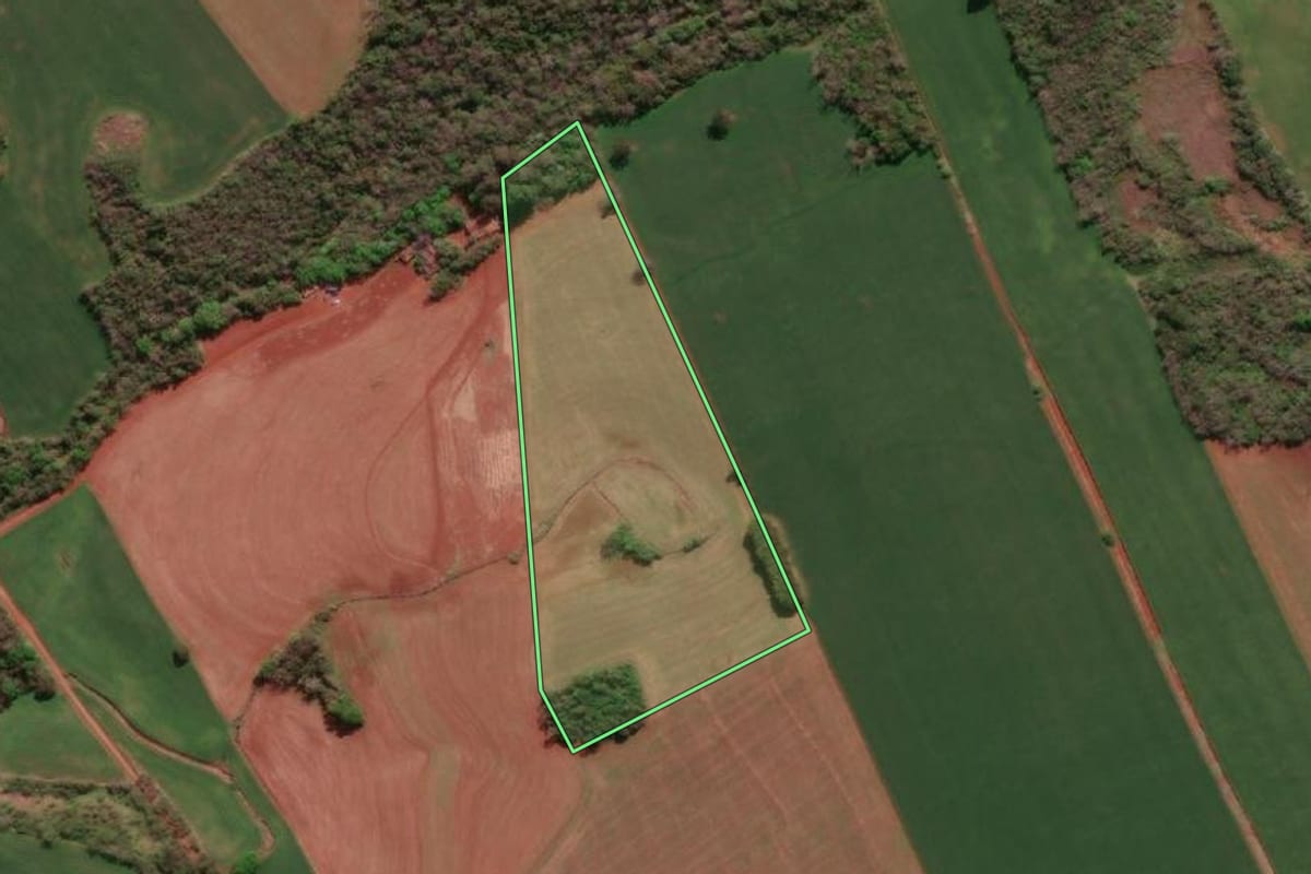 Imagem de satélite do imóvel rural em Três de Maio (RS), com o contorno declarado no CAR desenhado por cima.