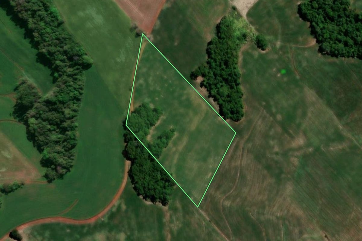 Imagem de satélite do imóvel rural em Três de Maio (RS), com o contorno declarado no CAR desenhado por cima.