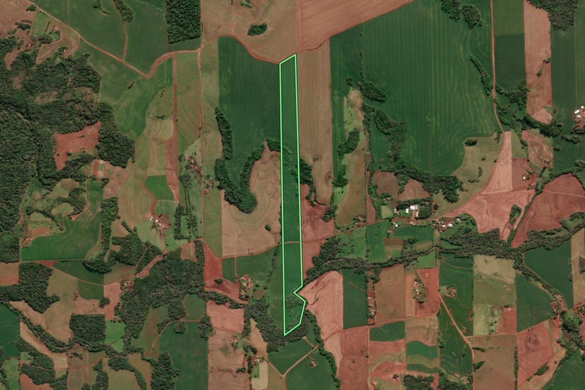 Imagem de satélite do imóvel rural em Três de Maio (RS), com o contorno declarado no CAR desenhado por cima.