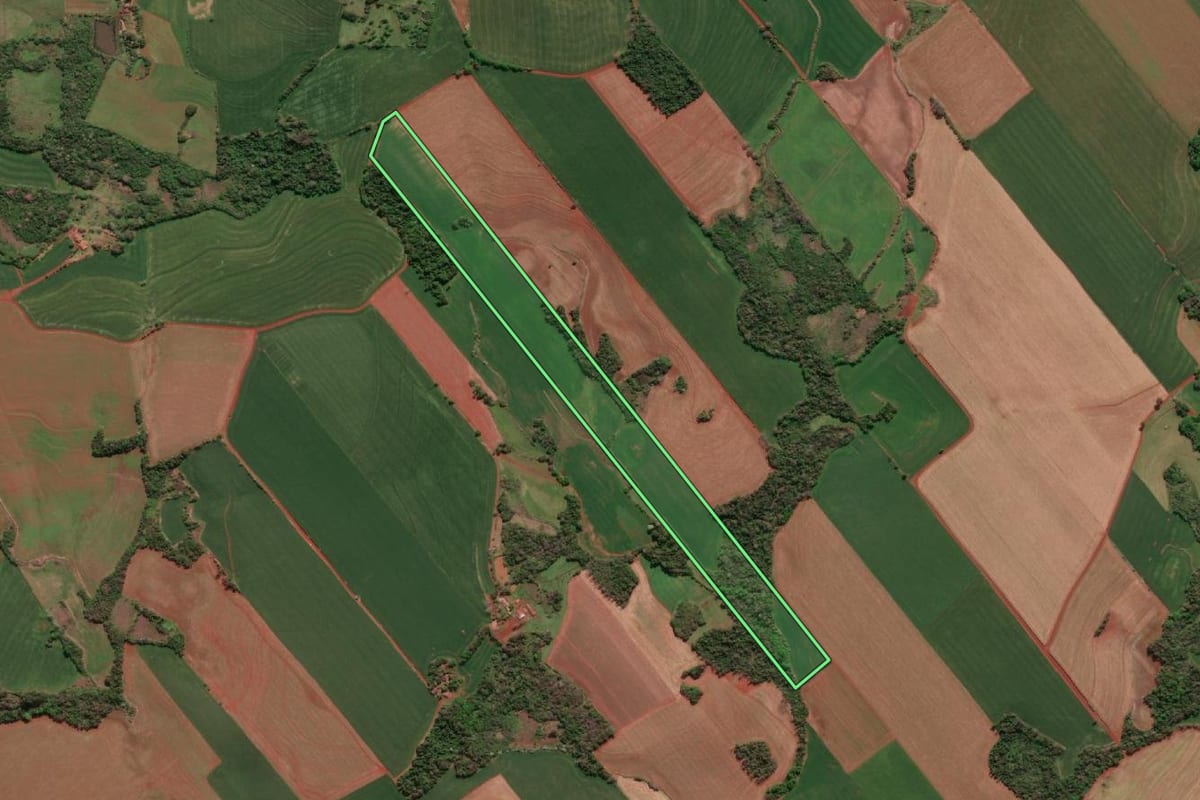 Imagem de satélite do imóvel rural em Três de Maio (RS), com o contorno declarado no CAR desenhado por cima.