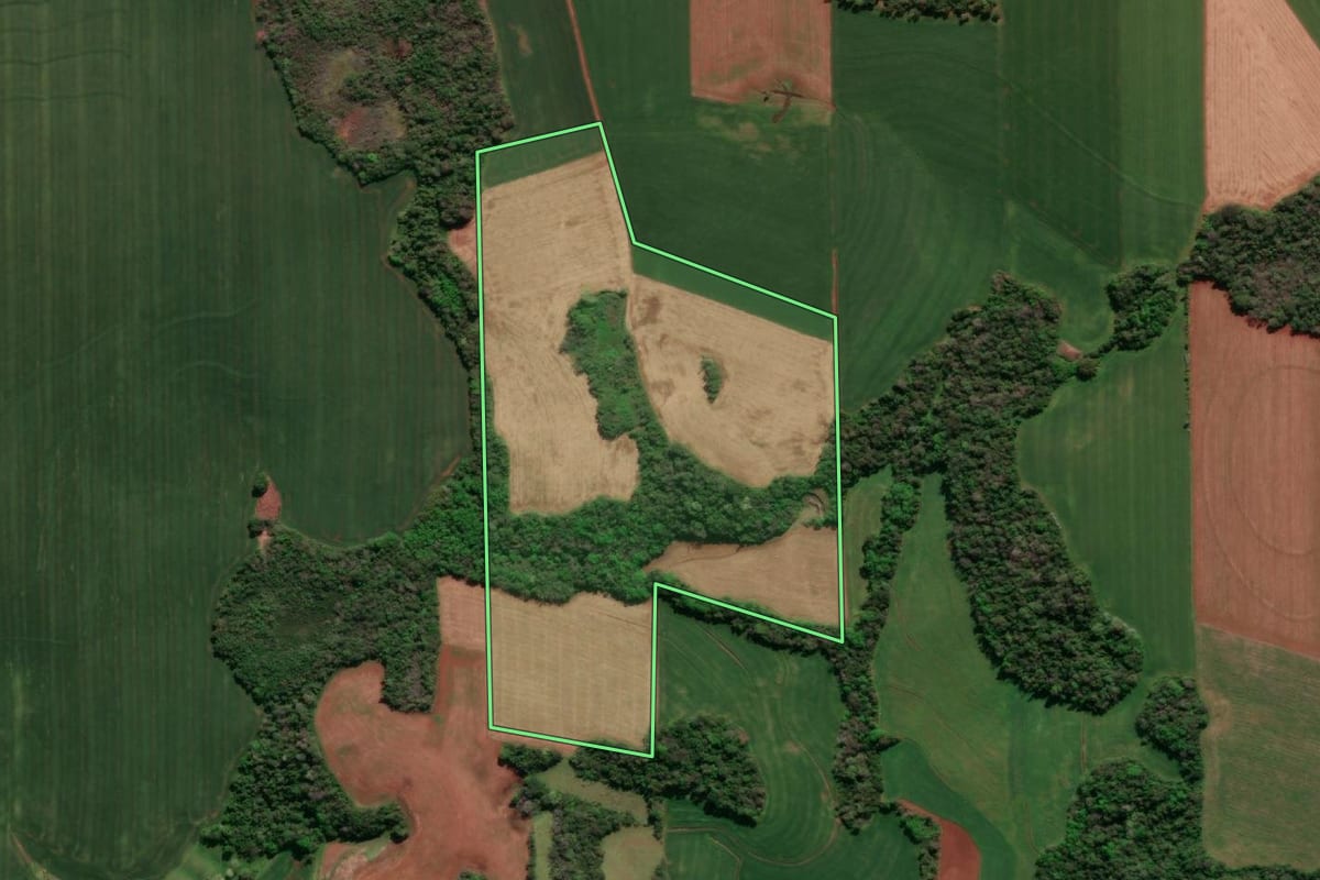 Imagem de satélite do imóvel rural em Três de Maio (RS), com o contorno declarado no CAR desenhado por cima.