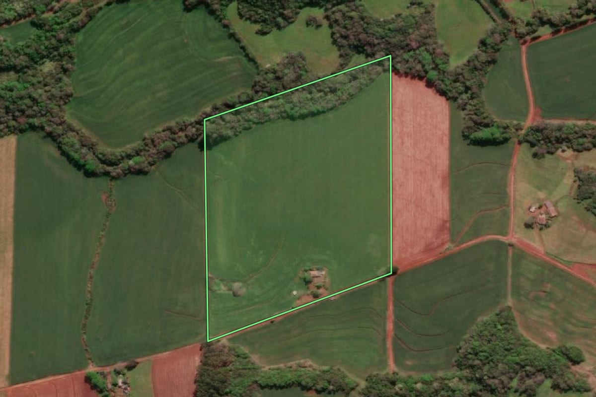 Imagem de satélite do imóvel rural em Três de Maio (RS), com o contorno declarado no CAR desenhado por cima.