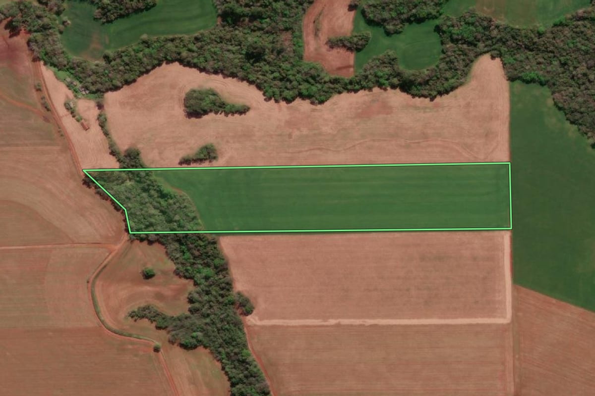 Imagem de satélite do imóvel rural em Três de Maio (RS), com o contorno declarado no CAR desenhado por cima.