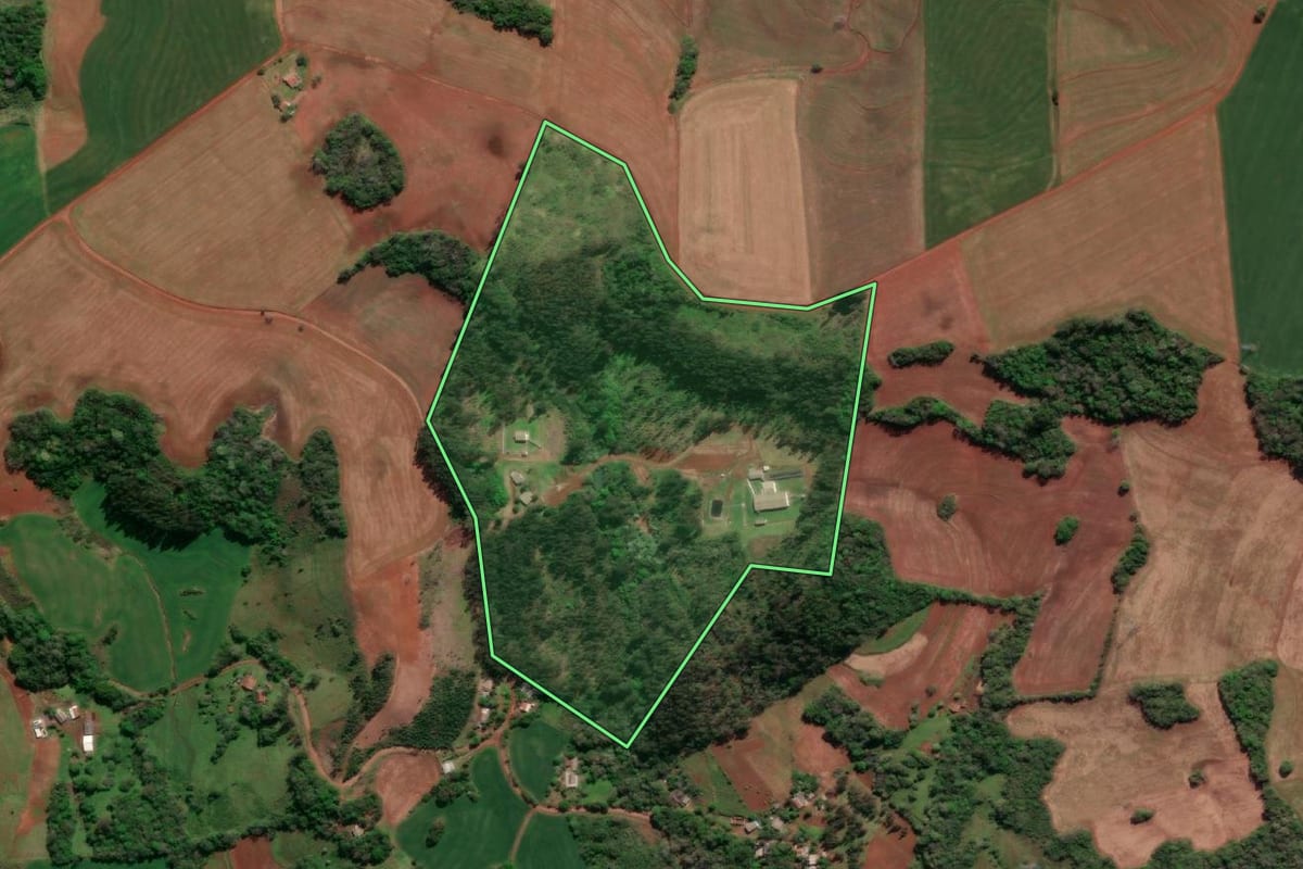 Imagem de satélite do imóvel rural em Três de Maio (RS), com o contorno declarado no CAR desenhado por cima.