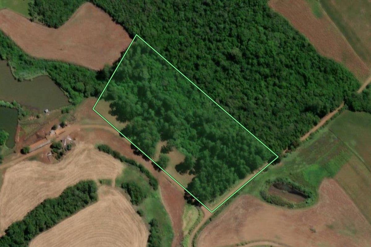 Imagem de satélite do imóvel rural em Três de Maio (RS), com o contorno declarado no CAR desenhado por cima.