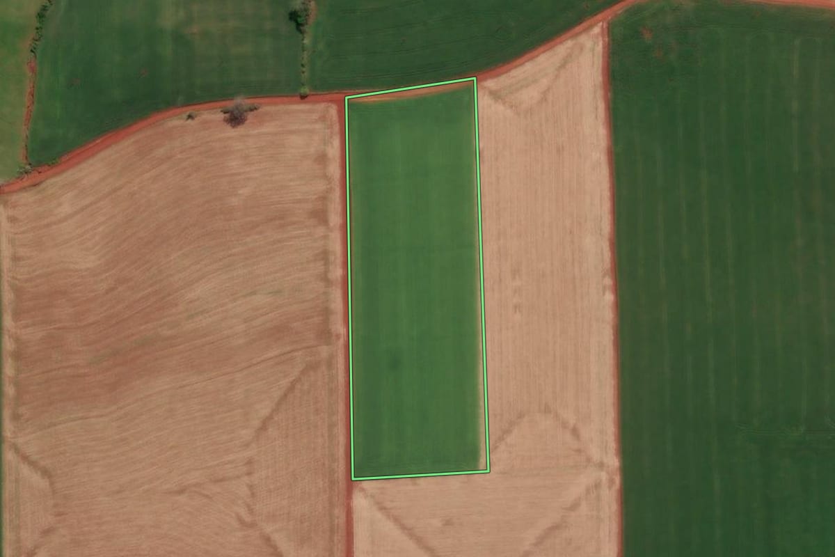 Imagem de satélite do imóvel rural em Três de Maio (RS), com o contorno declarado no CAR desenhado por cima.