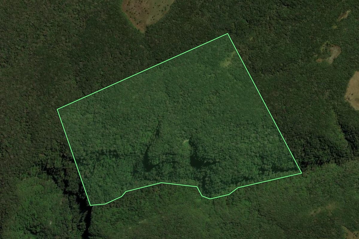 Imagem de satélite do imóvel rural em Três Forquilhas (RS), com o contorno declarado no CAR desenhado por cima.