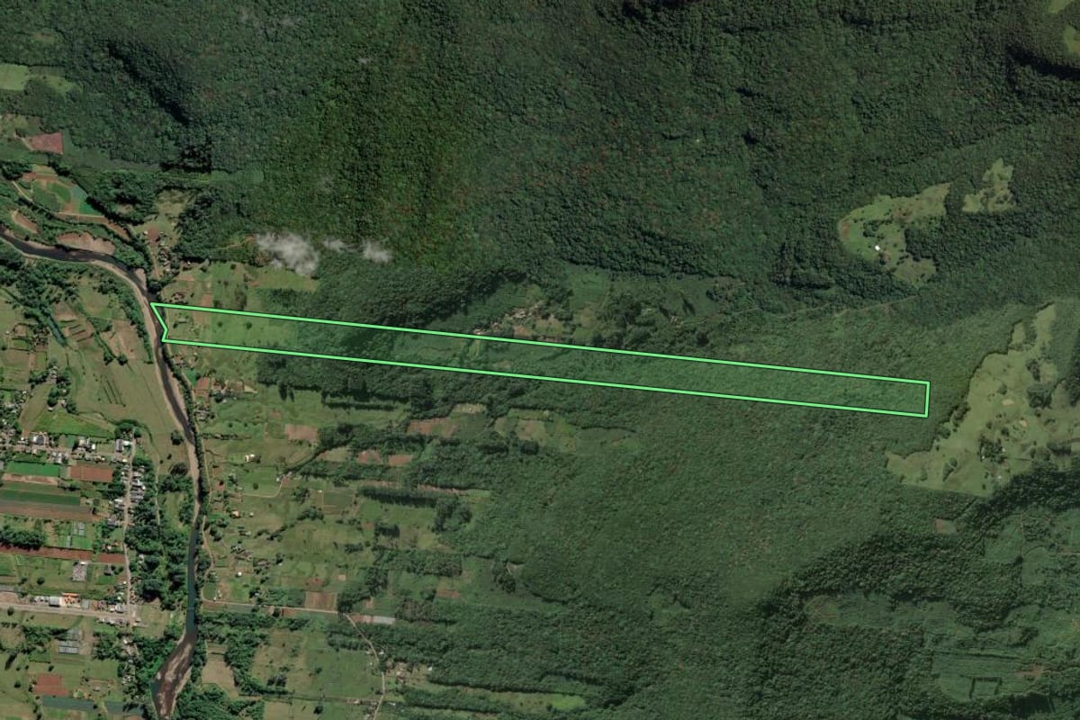 Imagem de satélite do imóvel rural em Três Forquilhas (RS), com o contorno declarado no CAR desenhado por cima.