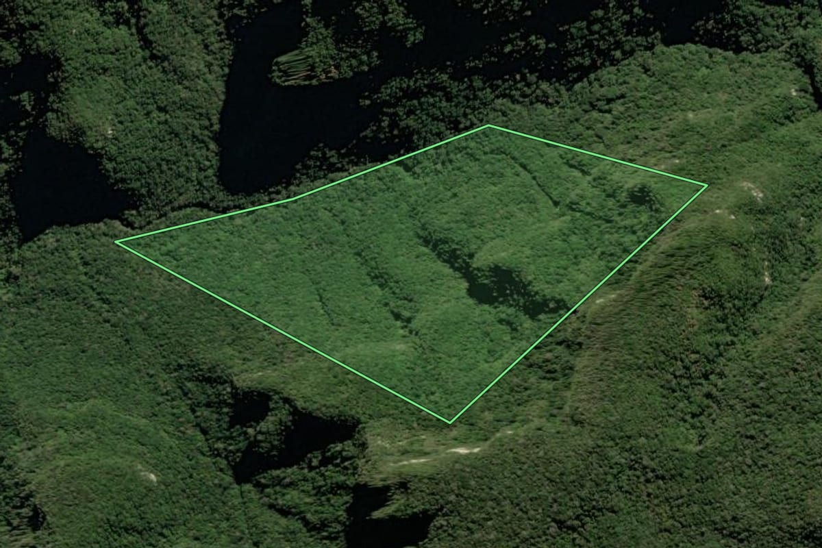 Imagem de satélite do imóvel rural em Três Forquilhas (RS), com o contorno declarado no CAR desenhado por cima.
