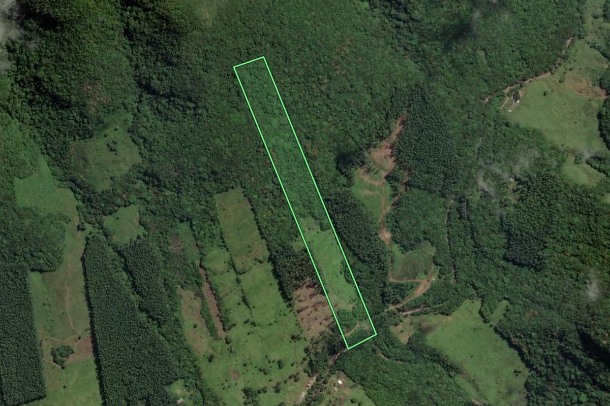 Imagem de satélite do imóvel rural em Três Forquilhas (RS), com o contorno declarado no CAR desenhado por cima.