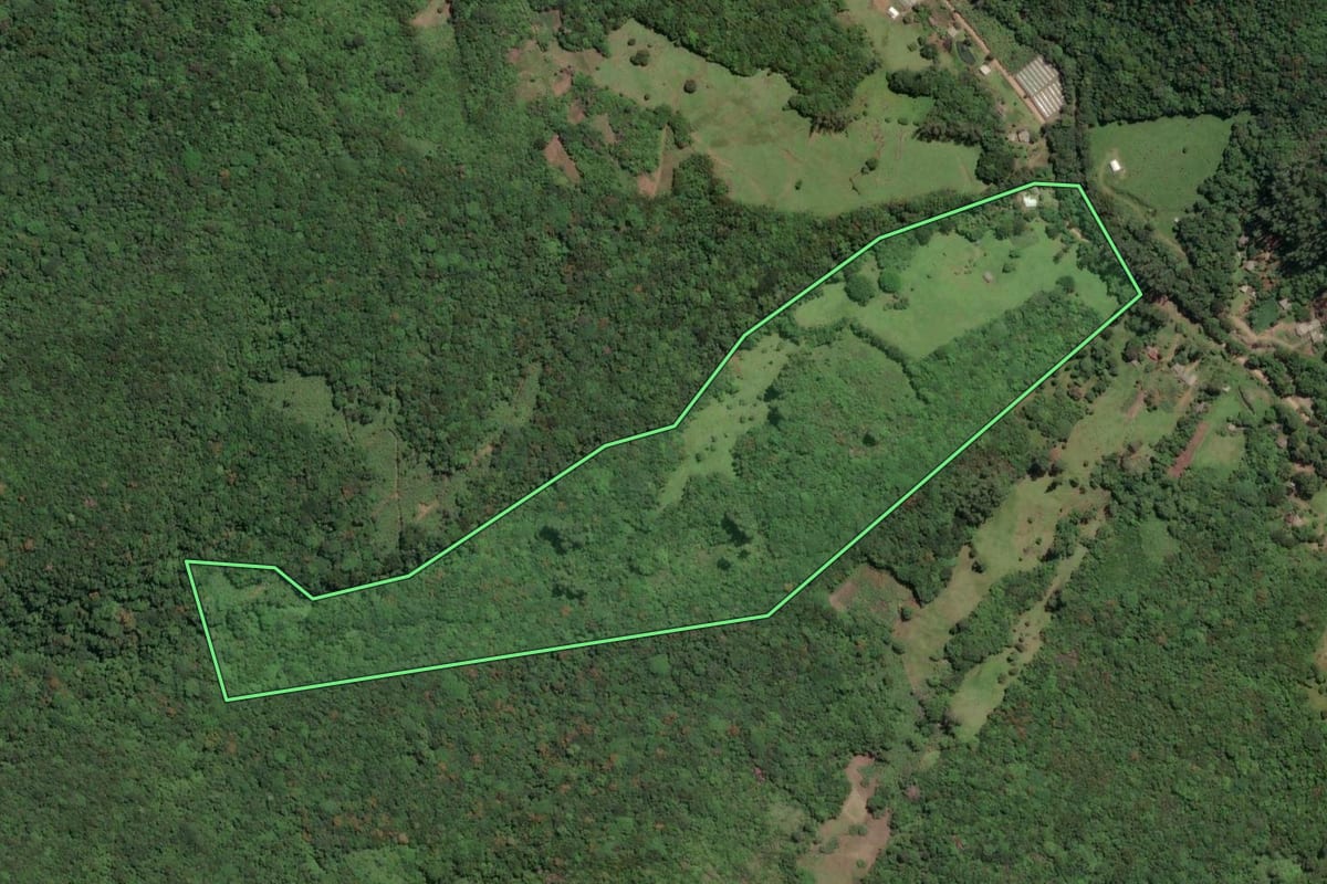 Imagem de satélite do imóvel rural em Três Forquilhas (RS), com o contorno declarado no CAR desenhado por cima.