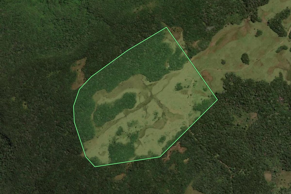 Imagem de satélite do imóvel rural em Três Forquilhas (RS), com o contorno declarado no CAR desenhado por cima.