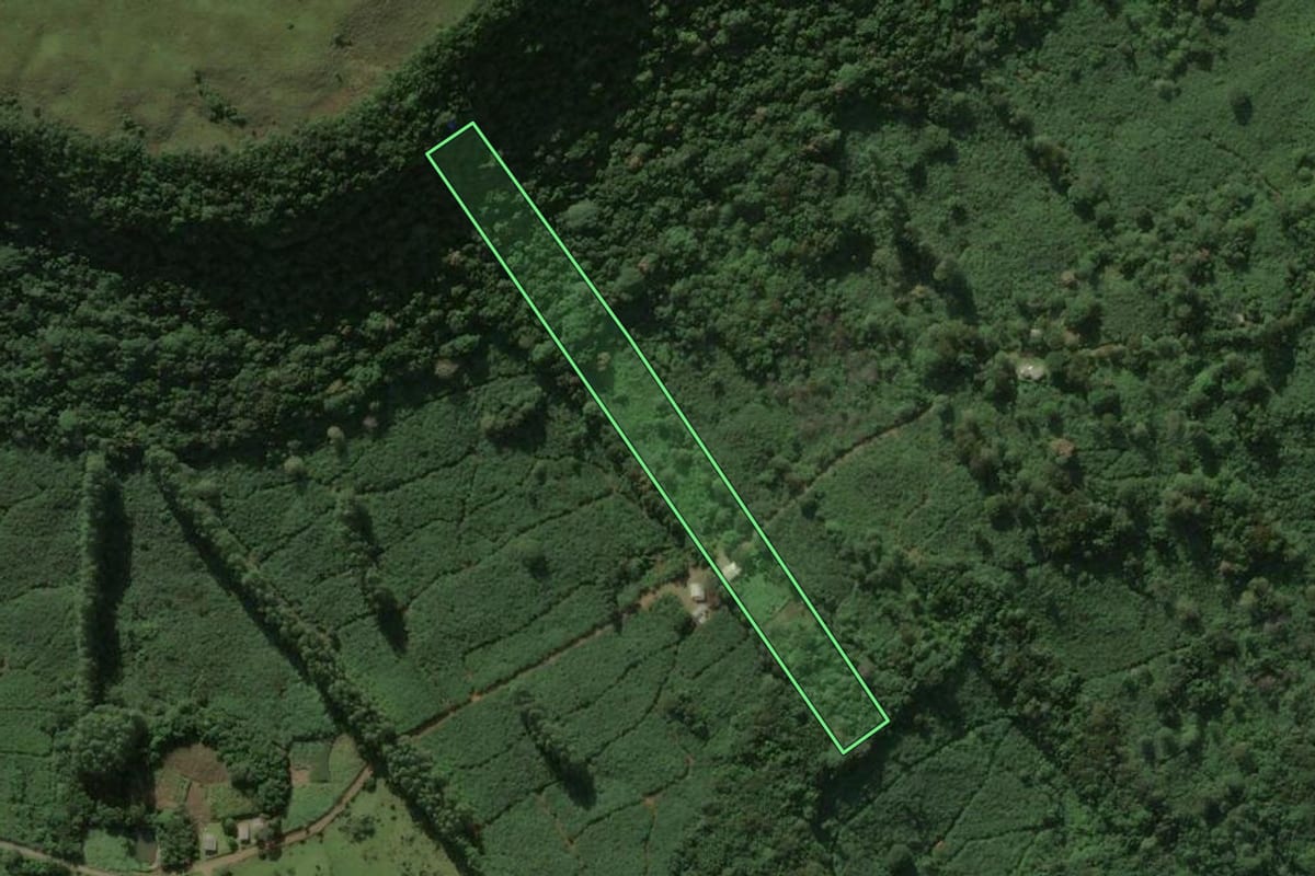 Imagem de satélite do imóvel rural em Três Forquilhas (RS), com o contorno declarado no CAR desenhado por cima.