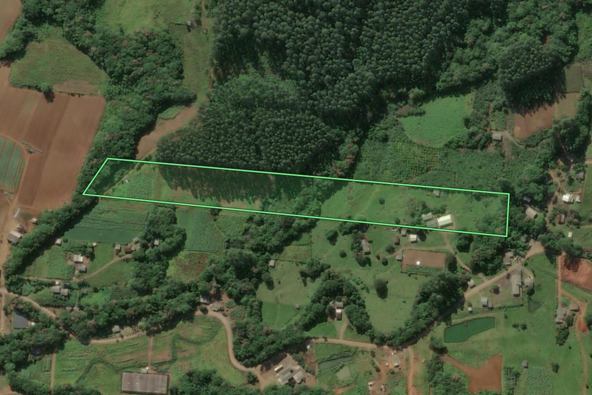 Imagem de satélite do imóvel rural em Três Forquilhas (RS), com o contorno declarado no CAR desenhado por cima.
