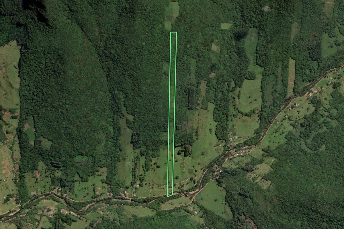 Imagem de satélite do imóvel rural em Três Forquilhas (RS), com o contorno declarado no CAR desenhado por cima.