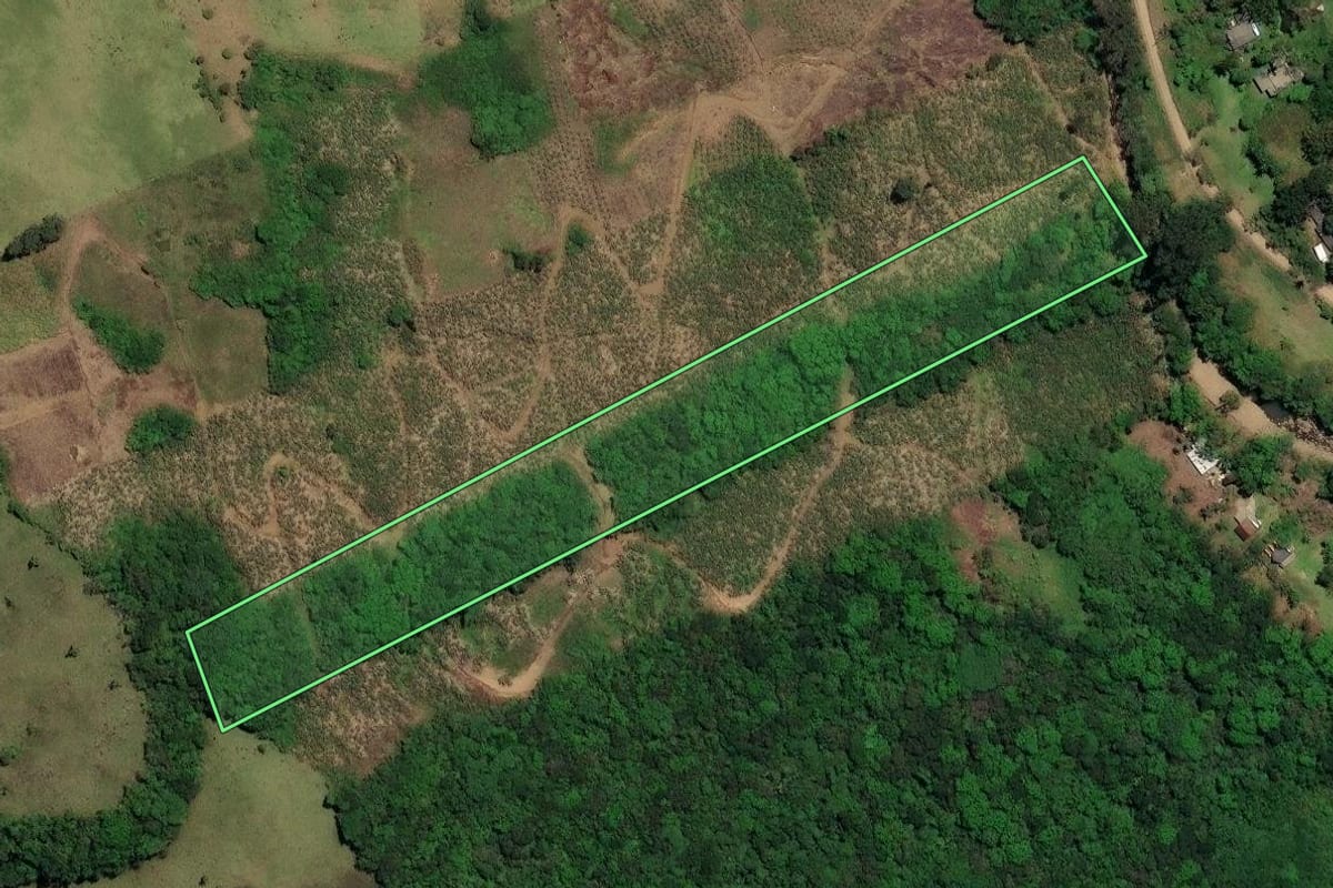 Imagem de satélite do imóvel rural em Três Forquilhas (RS), com o contorno declarado no CAR desenhado por cima.