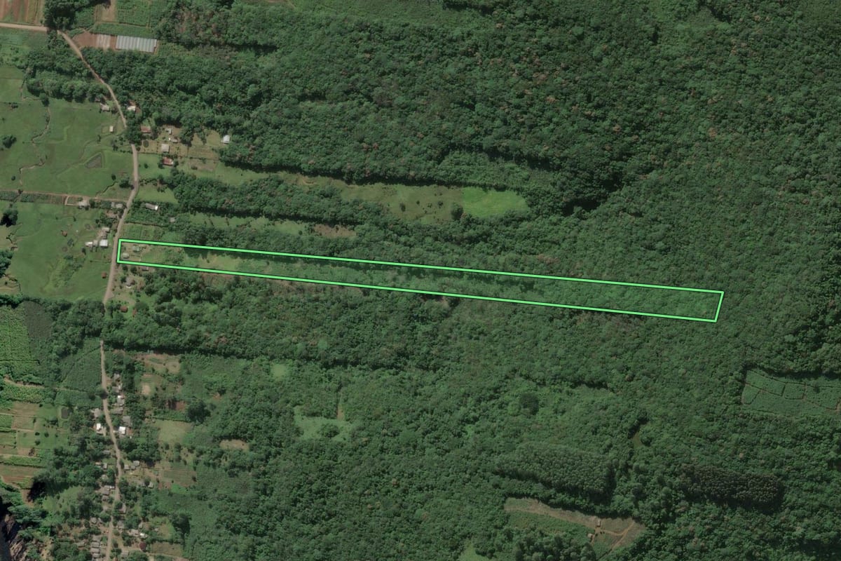 Imagem de satélite do imóvel rural em Três Forquilhas (RS), com o contorno declarado no CAR desenhado por cima.