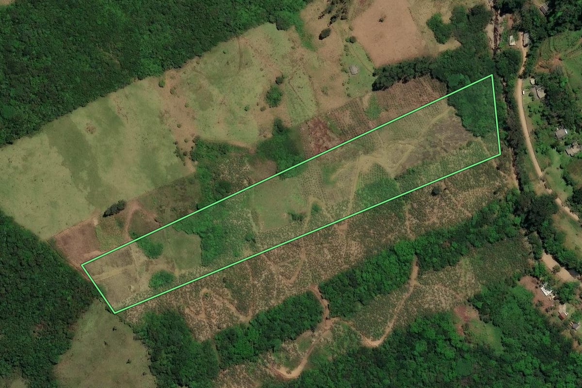Imagem de satélite do imóvel rural em Três Forquilhas (RS), com o contorno declarado no CAR desenhado por cima.