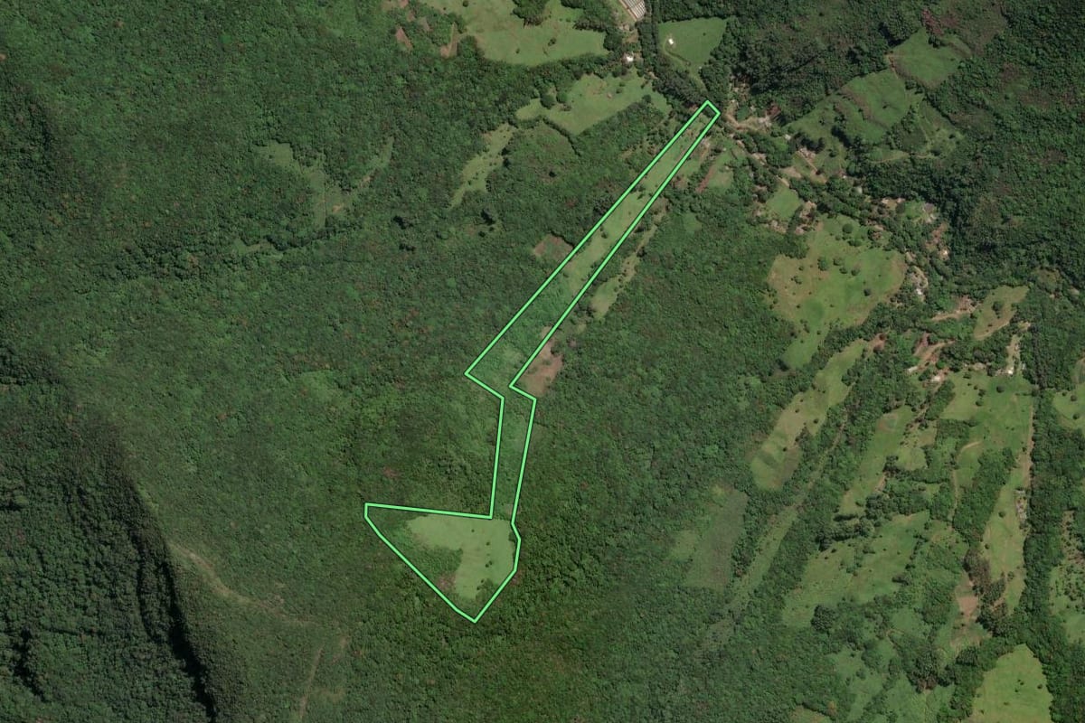 Imagem de satélite do imóvel rural em Três Forquilhas (RS), com o contorno declarado no CAR desenhado por cima.