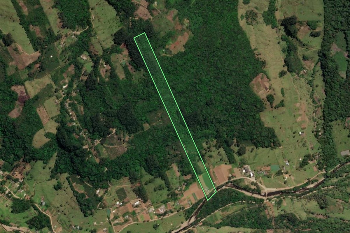 Imagem de satélite do imóvel rural em Três Forquilhas (RS), com o contorno declarado no CAR desenhado por cima.