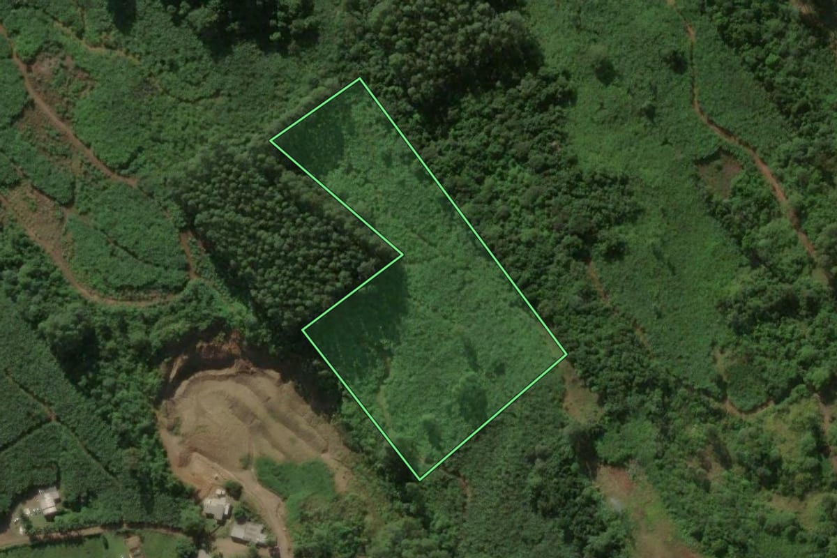 Imagem de satélite do imóvel rural em Três Forquilhas (RS), com o contorno declarado no CAR desenhado por cima.