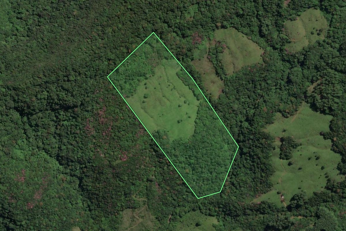 Imagem de satélite do imóvel rural em Três Forquilhas (RS), com o contorno declarado no CAR desenhado por cima.