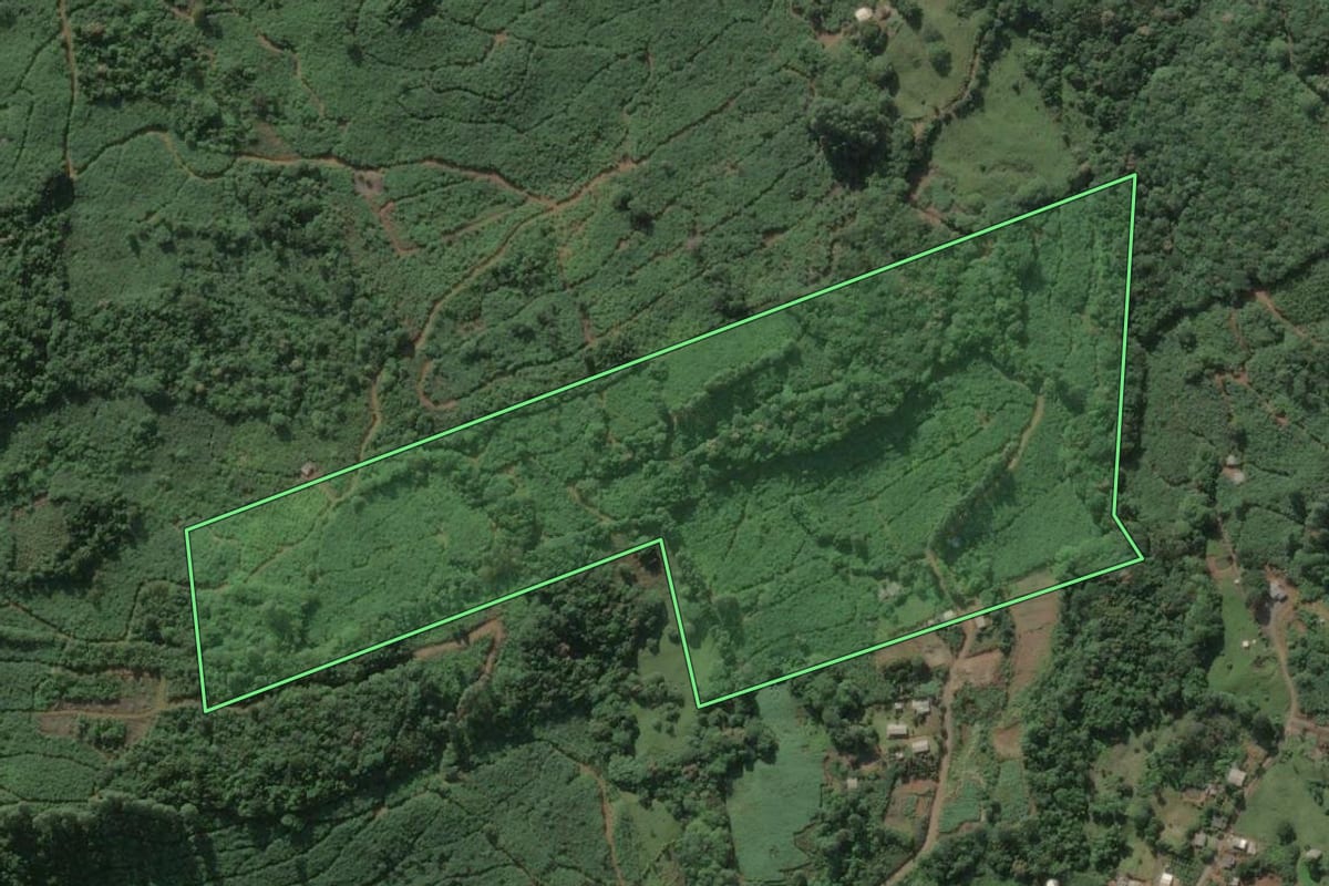 Imagem de satélite do imóvel rural em Três Forquilhas (RS), com o contorno declarado no CAR desenhado por cima.