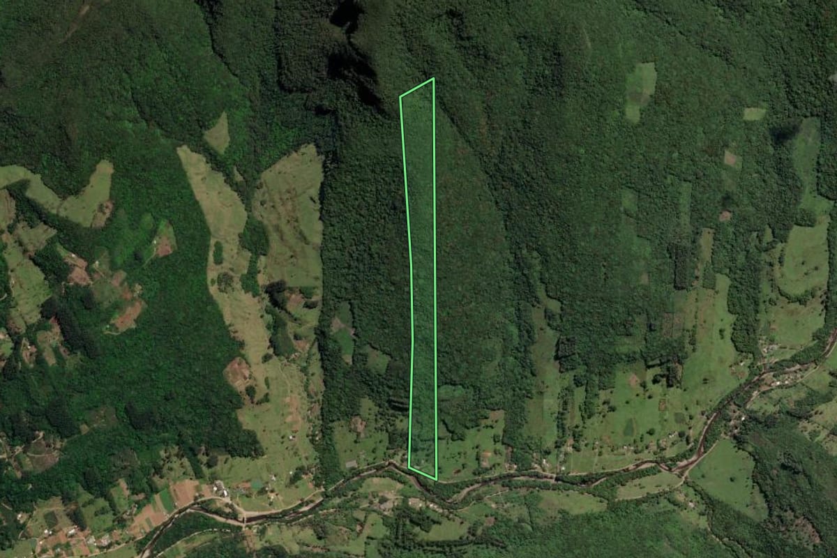 Imagem de satélite do imóvel rural em Três Forquilhas (RS), com o contorno declarado no CAR desenhado por cima.