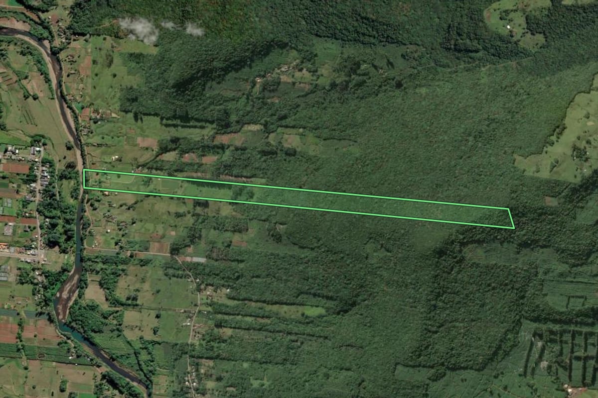 Imagem de satélite do imóvel rural em Três Forquilhas (RS), com o contorno declarado no CAR desenhado por cima.