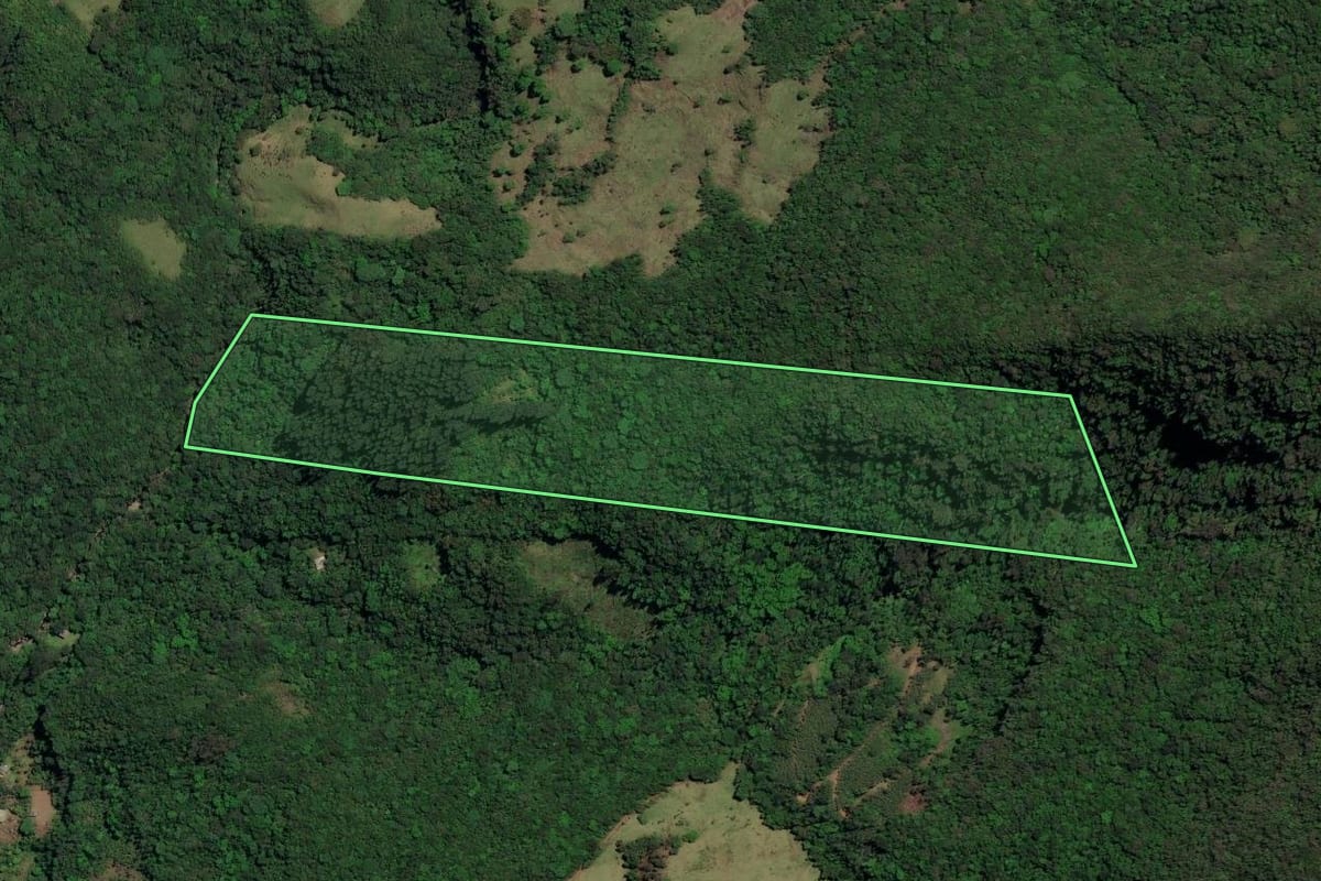 Imagem de satélite do imóvel rural em Três Forquilhas (RS), com o contorno declarado no CAR desenhado por cima.