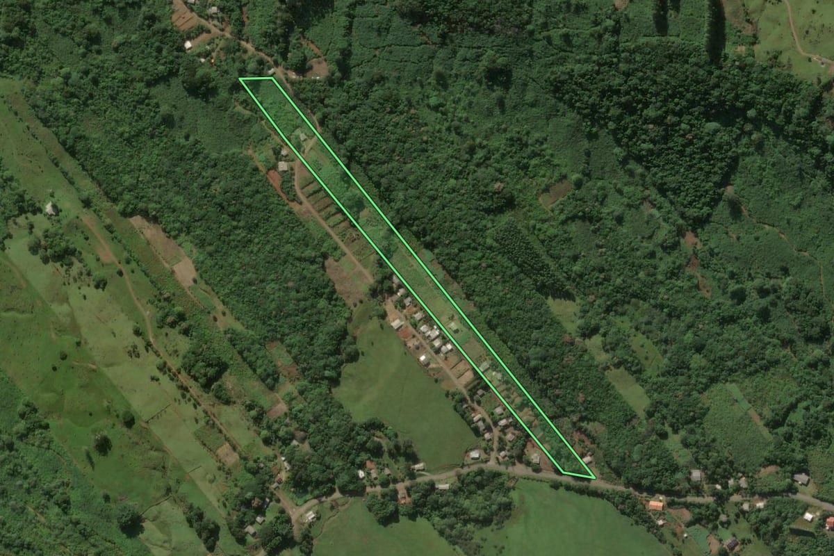 Imagem de satélite do imóvel rural em Três Forquilhas (RS), com o contorno declarado no CAR desenhado por cima.