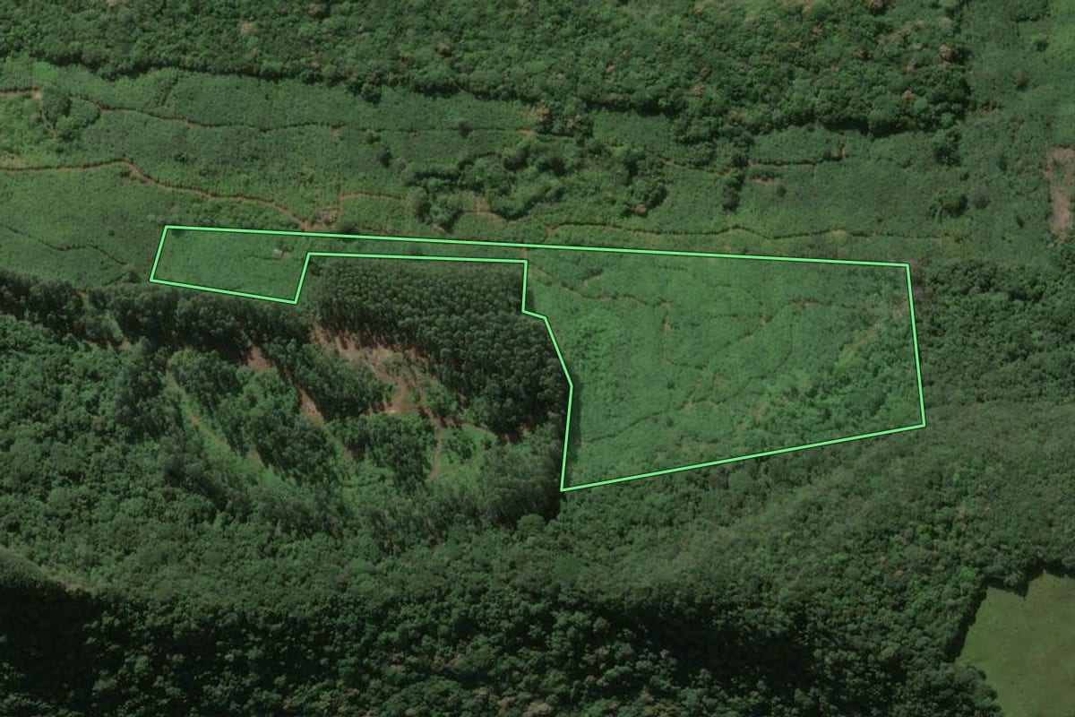 Imagem de satélite do imóvel rural em Três Forquilhas (RS), com o contorno declarado no CAR desenhado por cima.
