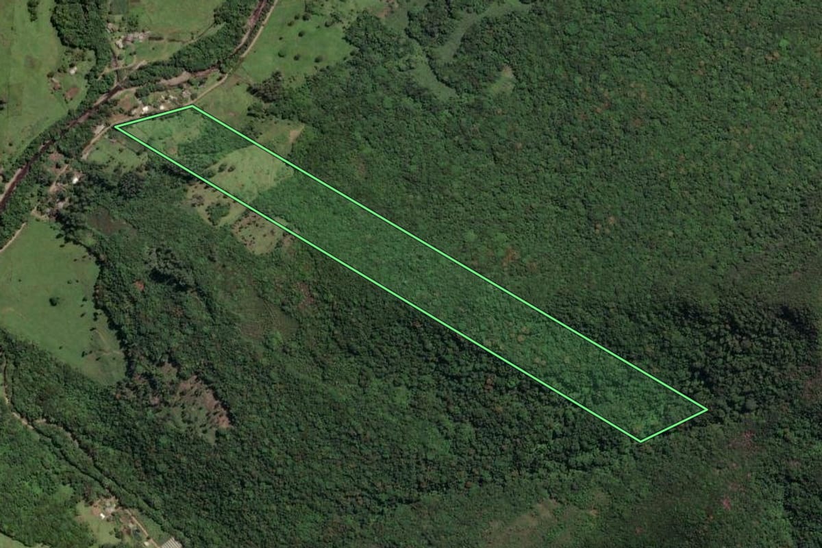 Imagem de satélite do imóvel rural em Três Forquilhas (RS), com o contorno declarado no CAR desenhado por cima.