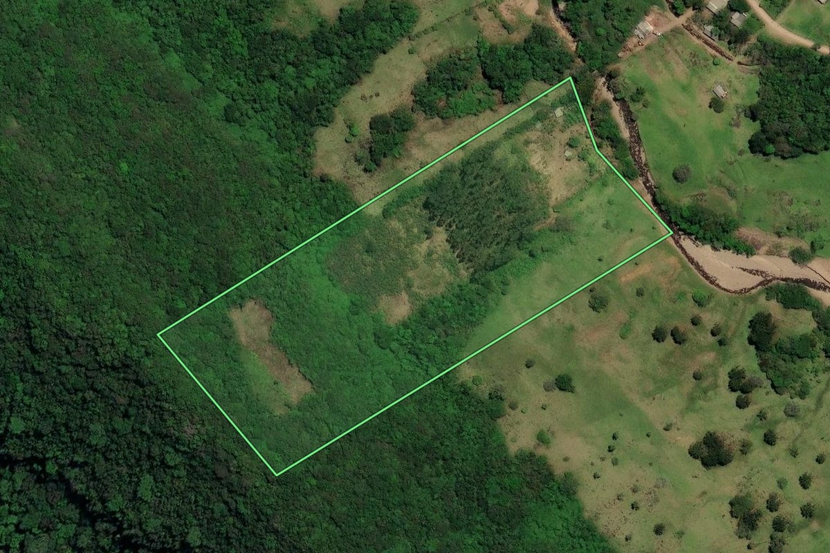 Imagem de satélite do imóvel rural em Três Forquilhas (RS), com o contorno declarado no CAR desenhado por cima.